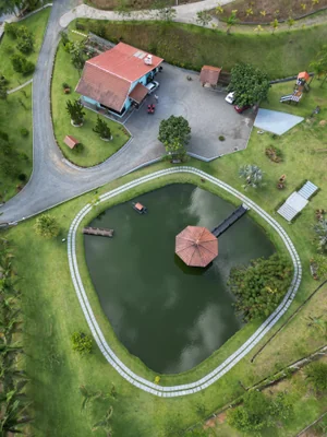 dji fly 20251225 163208 0616 1773606916447 photo